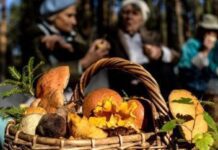 Як вберегти себе від отруєння грибами