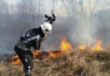 Пожежі та горіння сухої трави на Буковині продовжують вирувати