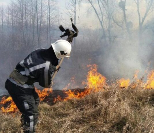 Пожежі та горіння сухої трави на Буковині продовжують вирувати