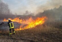 Чернівчан просять не спалювати суху траву
