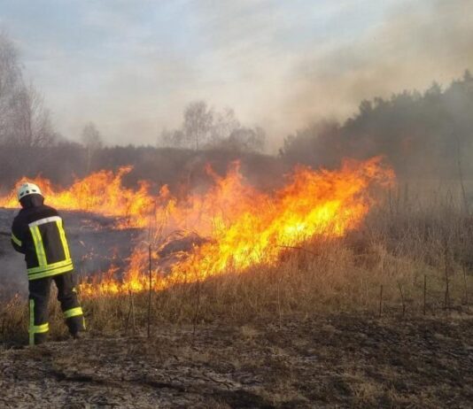 Жителей Черновцов просят не сжигать сухую траву