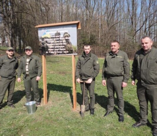 На Сторожинеччині висадили 400 дерев гінкго у пам’ять про лісівників, які загинули в боях на сході України