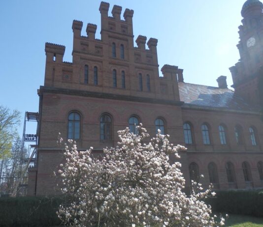 У дворі Чернівецького університету можна помилуватися квітучими магноліями