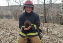 На Буковині рятувальники рятують тварин від пожеж