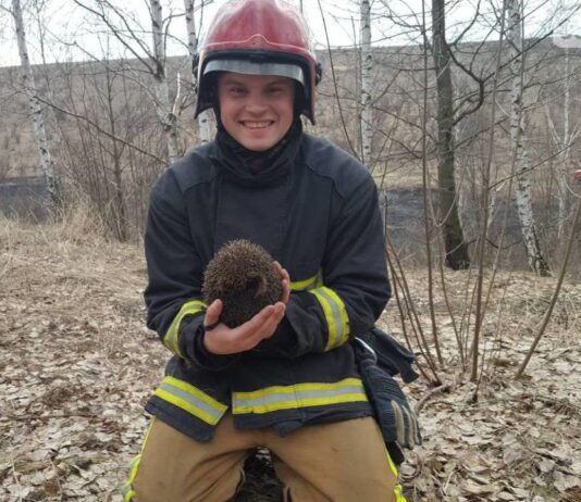 На Буковині рятувальники рятують тварин від пожеж