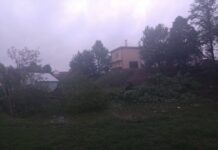 Загроза смерчів та паводків: на Буковині буревій зривав дахи та валив дерева