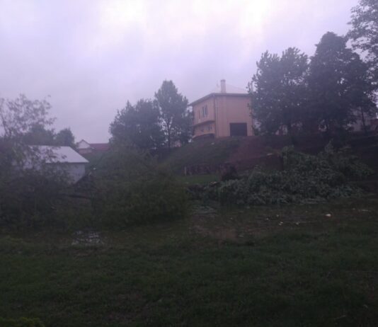 Загроза смерчів та паводків: на Буковині буревій зривав дахи та валив дерева