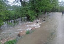 Буковина постраждала від негоди: наслідки паводку та руйнування