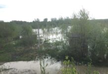 Загрози паводку на Буковині поки що немає