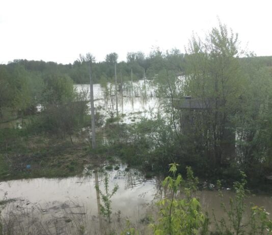 Загрози паводку на Буковині поки що немає