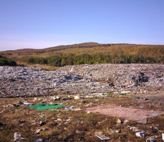 Сором Буковини – невирішена проблема з відходами