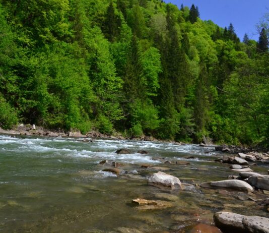 На Буковині гірські річки є одними з найчистіших в Україні