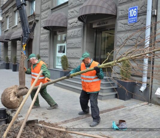 У 2018-му році у столиці висадили 120 тисяч дерев: як озеленяют українські мегаполіси весною