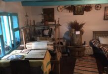 Бджолина історія: буковинський музей розповість усе про бджільництво