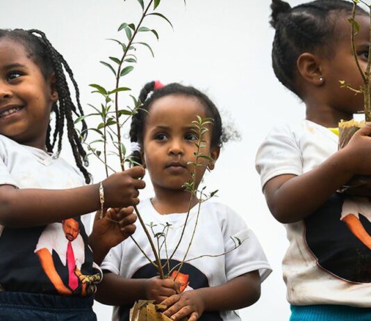 Чи здатне масове озеленення планети зупинити негативні кліматичні зміни?