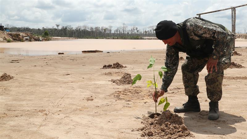 озеленення