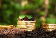 На охорону екології на Буковині планують витратити майже півмільйона