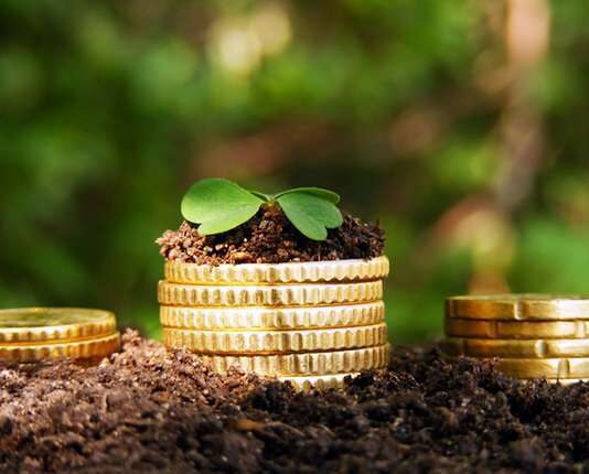 На охрану экологии на Буковине планируют потратить почти полмиллиона