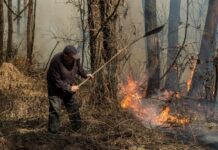 Екологічні «трабли» Буковини: способи покращення ситуації з довкіллям