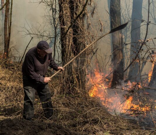 Екологічні «трабли» Буковини: способи покращення ситуації з довкіллям