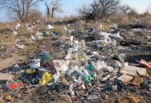 Дбаємо про екологію регіону разом: як чернівчани можуть сприяти у боротьбі з нелегальними сміттєзвалищами?