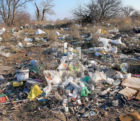 Дбаємо про екологію регіону разом: як чернівчани можуть сприяти у боротьбі з нелегальними сміттєзвалищами?