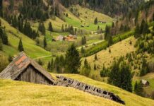 Природні об’єкти Буковини, які варто побачити кожному