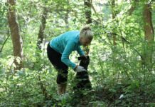 Як чернівецькі “Екорейдери” роблять наше місто чистішим