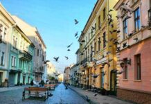 Поради, які допоможуть зберегти чистоту Чернівців