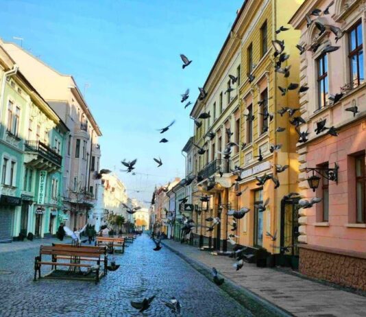 Поради, які допоможуть зберегти чистоту Чернівців