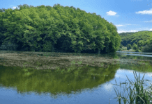 Місця для відпочинку на природі у Чернівцях