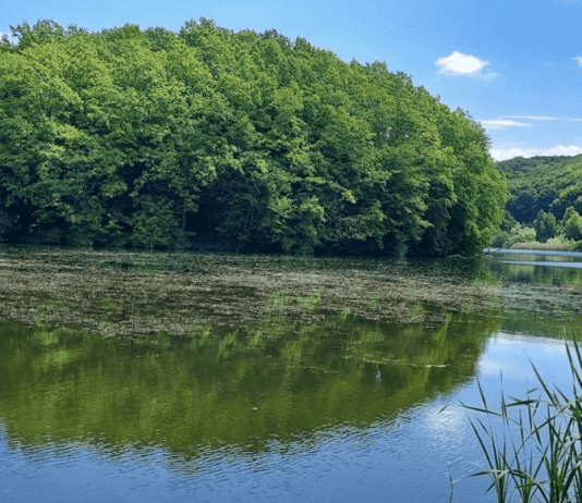 Місця для відпочинку на природі у Чернівцях