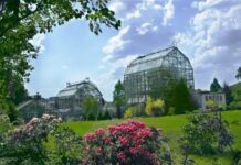 Ботанічний сад Чернівецького національного університету
