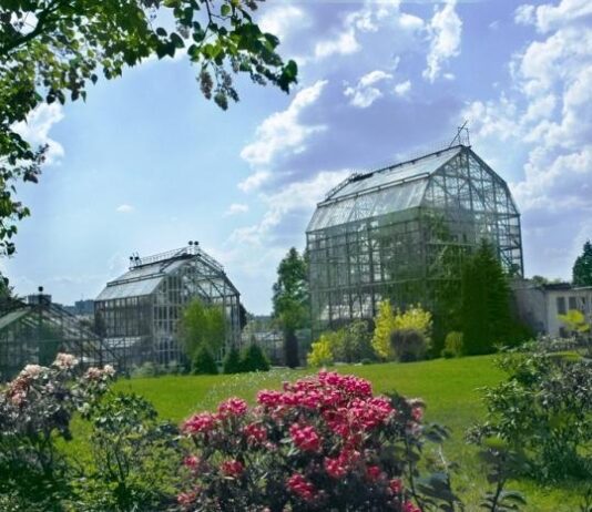 Ботанический сад Черновицкого национального университета