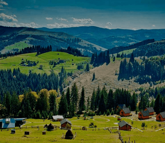 Природа Буковины: уникальная флора и фауна