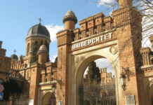 Природничий музей при Чернівецькому університеті