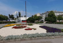 Чому важливе озеленення міста