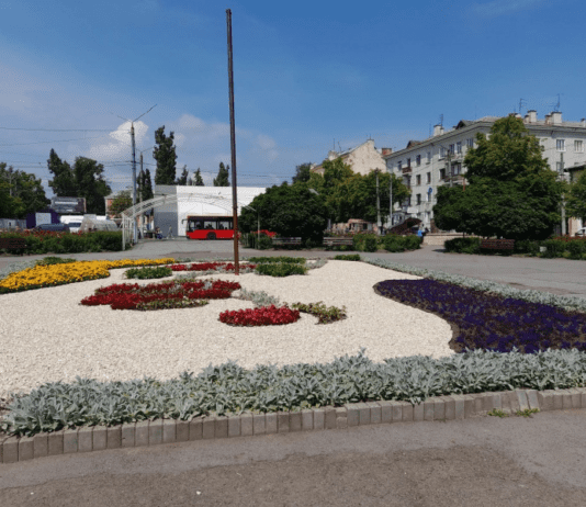 Чому важливе озеленення міста