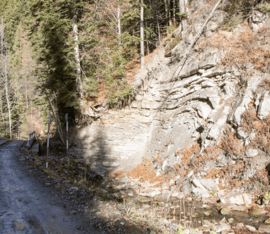 Буковинський туристичний маршрут