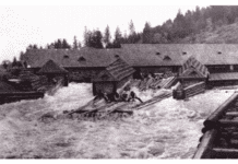 Як колись сплавляли ліс у горах?