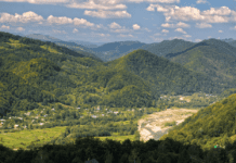 Відпочинок у буковинських Карпатах