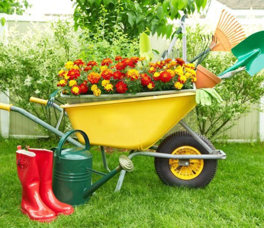 Дача за містом: плюси та мінуси очима чернівецьких городників