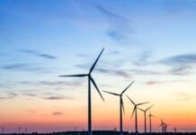 Альтернативна енергетика у Чернівецькій області