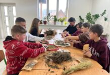 Екопроєкт «Зелені мости»: спільна румунсько-українська ініціатива