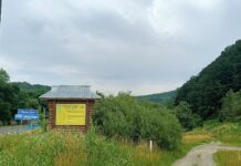 Заповідна перлина Буковини: як виник Вижницький парк?