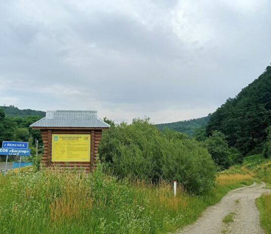 Заповідна перлина Буковини: як виник Вижницький парк?