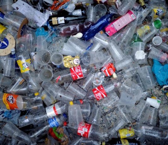 Життя без пластику: як чернівчанам зменшити пластикове навантаження на довкілля?