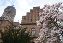 Чернівецькі магнолії – національне надбання України