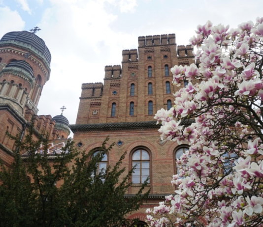 Чернівецькі магнолії – національне надбання України