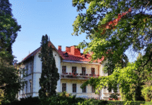 Ботанічний сад ЧНУ: від культури 1800-х до сучасних наукових просторів